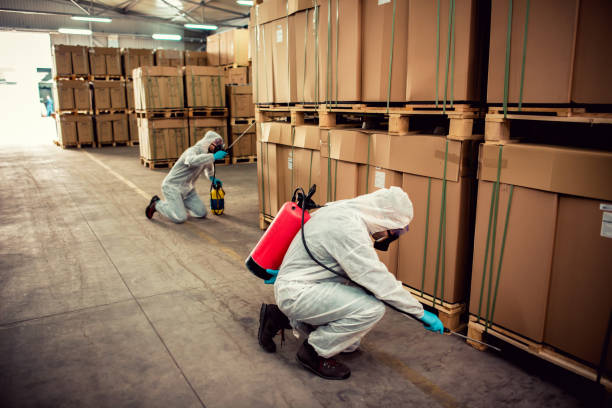 Best Bed Bug Extermination  in Connelly Springs, NC