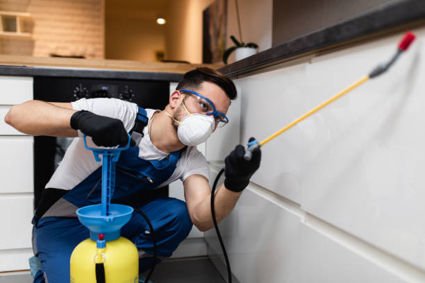 Reliable Connelly Springs, NC Pest Control Solutions