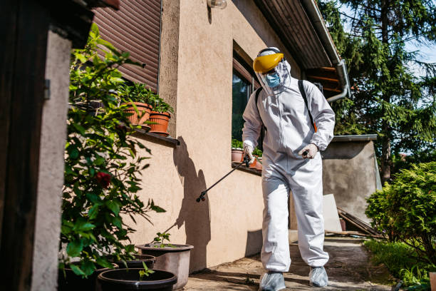 Best Rodent Control Near Me  in Connelly Springs, NC