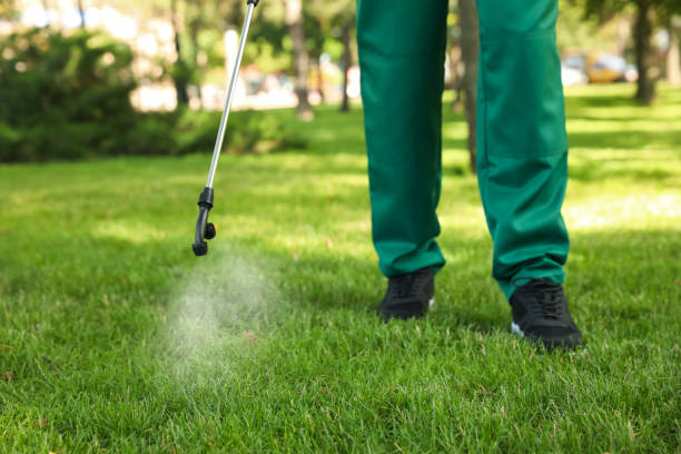 Best Pest Control Near Me  in Connelly Springs, NC