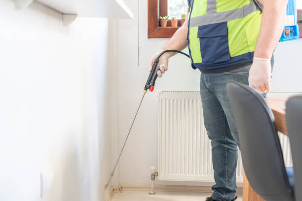 Best Affordable Pest Control Services  in Connelly Springs, NC