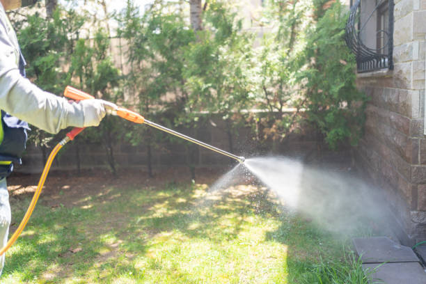 Best Best Pest Control Companies  in Connelly Springs, NC