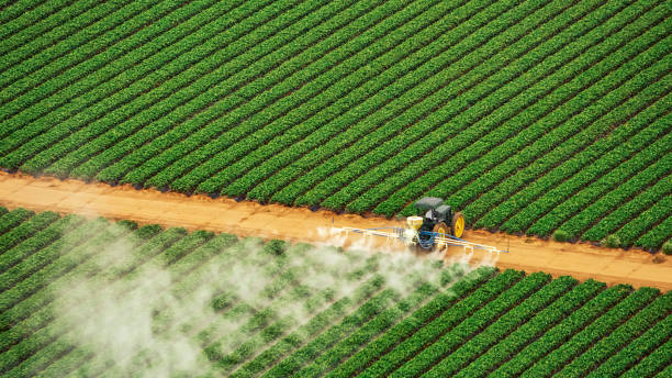 Best Commercial Pest Control Services  in Connelly Springs, NC