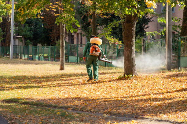 Best Pest Control Near Me in Connelly Springs, NC