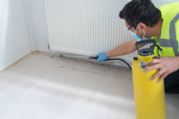 Best Best Pest Control Companies  in Connelly Springs, NC